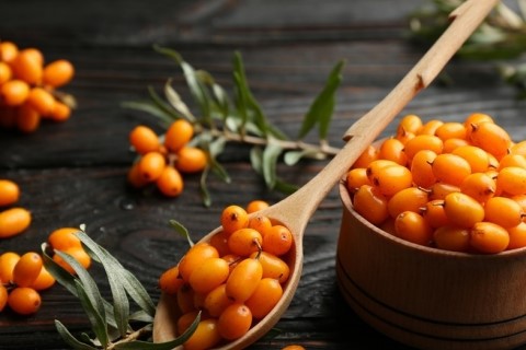 Freeze Dried Sea Buckthorn Fruit Powder Freeze Dried Sea Buckthorn Fruit Powder