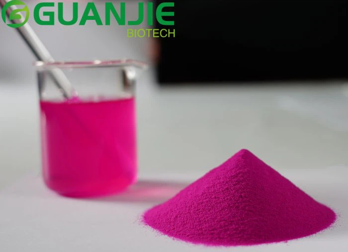 dragon fruit juice powder dragon fruit juice powder