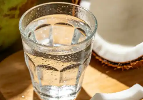 coconut water liquid bulk
